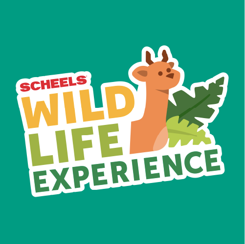 Scheels Wildlife Experience